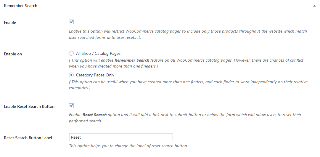 The Remember Search settings panel