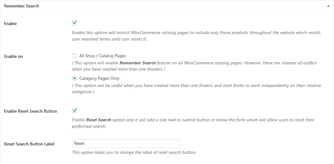 The Remember Search settings panel
